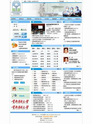借力ASP技术 北京火山动力赋能企业网站建设新高度